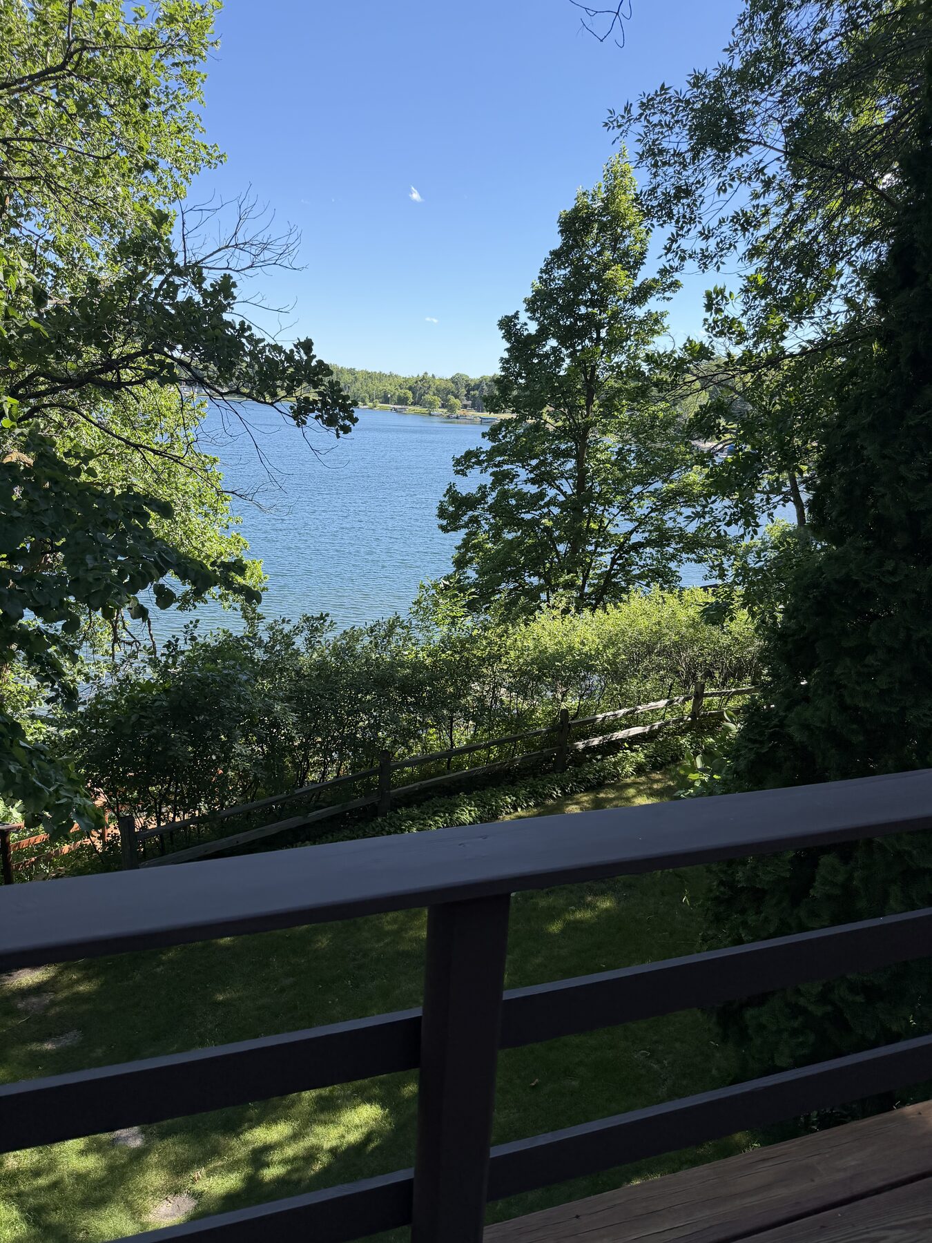 Lake view through the trees
